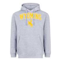 Heather Grey Kids Wyoming Cowboys Apparel Fan Favorite Brown Arch Heavyweight Hoodie - trangStudio