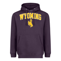 Plum Kids Wyoming Cowboys Apparel Fan Favorite Brown Arch Heavyweight Hoodie - trangStudio
