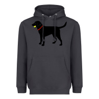 Smoke Labrador Retriever Fetch, Black Lab Play Ball Heavyweight Hoodie - trangStudio