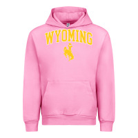 Fuchsia Pink Kids Wyoming Cowboys Apparel Fan Favorite Brown Arch Urban Hoodie - trangStudio