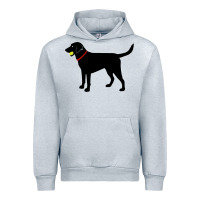 Heather Grey Labrador Retriever Fetch, Black Lab Play Ball Urban Hoodie - trangStudio
