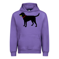Tulip Labrador Retriever Fetch, Black Lab Play Ball Urban Hoodie - trangStudio