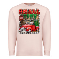 Pale Pink small town christmas Premium Sweatshirt - BarkalooDesign