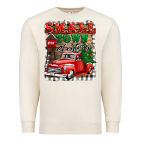 Sandshell small town christmas Premium Sweatshirt - BarkalooDesign