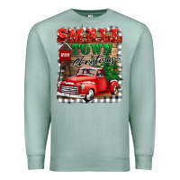 Seafoam small town christmas Premium Sweatshirt - BarkalooDesign