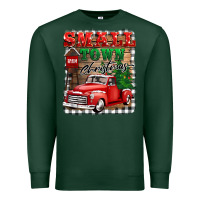 Sports Green small town christmas Premium Sweatshirt - BarkalooDesign