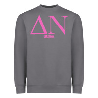 Storm Legally Blonde Delta Nu Greek Letters Heavyweight Sweatshirt - trangStudio