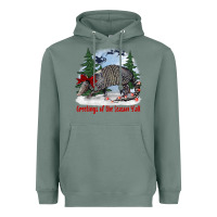 Greetings Of The Season Y'all With Armadillo Heavyweight Hoodie | Teevron