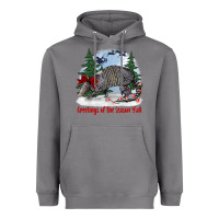Storm greetings of the season y'all with armadillo Heavyweight Hoodie - BarkalooDesign