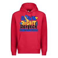 Cardinal down right perfect down syndrome awareness Premium Hoodie - CowhideDigitalArt