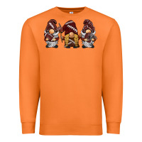 Carrot football gnomes Premium Sweatshirt - BarkalooDesign