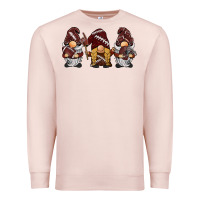 Pale Pink football gnomes Premium Sweatshirt - BarkalooDesign