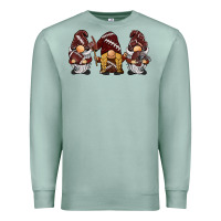 Seafoam football gnomes Premium Sweatshirt - BarkalooDesign