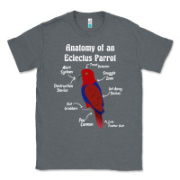 Charcoal Heather Anatomy of a female Eclectus Parrot Classic Tee - trangStudio