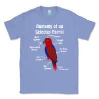 Colony Blue Anatomy of a female Eclectus Parrot Classic Tee - trangStudio