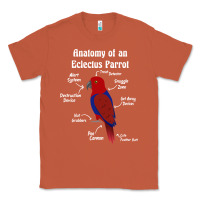 Copper Anatomy of a female Eclectus Parrot Classic Tee - trangStudio