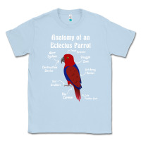 Dusty Blue Anatomy of a female Eclectus Parrot Classic Tee - trangStudio