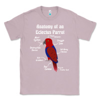 Lilac Anatomy of a female Eclectus Parrot Classic Tee - trangStudio