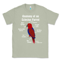 Matcha Anatomy of a female Eclectus Parrot Classic Tee - trangStudio