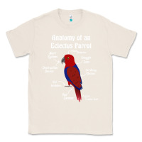 Natural Anatomy of a female Eclectus Parrot Classic Tee - trangStudio