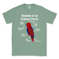 Sage Anatomy of a female Eclectus Parrot Classic Tee - trangStudio