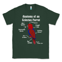 Anatomy Of A Female Eclectus Parrot Classic Tee | Teevron