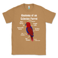 Toasted Coconut Anatomy of a female Eclectus Parrot Classic Tee - trangStudio