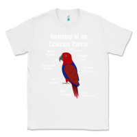 White Anatomy of a female Eclectus Parrot Classic Tee - trangStudio