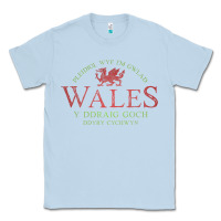 Dusty Blue Rugby Welsh Gift Red Dragon Flag of Wales Classic Tee - trangStudio