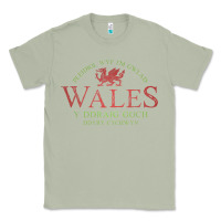 Matcha Rugby Welsh Gift Red Dragon Flag of Wales Classic Tee - trangStudio