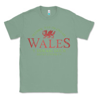 Sage Rugby Welsh Gift Red Dragon Flag of Wales Classic Tee - trangStudio