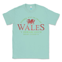 Seafoam Rugby Welsh Gift Red Dragon Flag of Wales Classic Tee - trangStudio