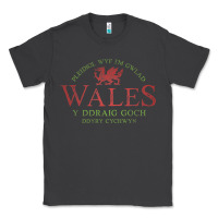 Smoke Rugby Welsh Gift Red Dragon Flag of Wales Classic Tee - trangStudio