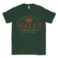 Sports Green Rugby Welsh Gift Red Dragon Flag of Wales Classic Tee - trangStudio