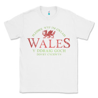 White Rugby Welsh Gift Red Dragon Flag of Wales Classic Tee - trangStudio