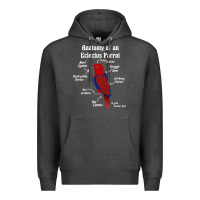 Charcoal Heather Anatomy of a female Eclectus Parrot Premium Hoodie - trangStudio