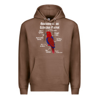 Chestnut Anatomy of a female Eclectus Parrot Premium Hoodie - trangStudio