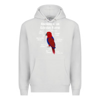 Dove Grey Anatomy of a female Eclectus Parrot Premium Hoodie - trangStudio