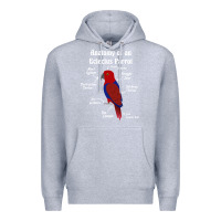 Heather Grey Anatomy of a female Eclectus Parrot Premium Hoodie - trangStudio