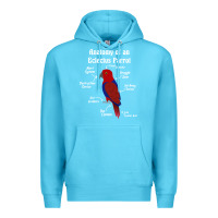 Ocean Blue Anatomy of a female Eclectus Parrot Premium Hoodie - trangStudio