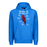 True Royal Anatomy of a female Eclectus Parrot Premium Hoodie - trangStudio