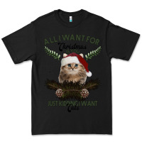 Black All I Want For Christmas Is You Just Kidding I Want Cats Premium Tee - Bettercallsaul