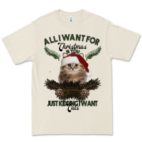 Bone All I Want For Christmas Is You Just Kidding I Want Cats Premium Tee - Bettercallsaul