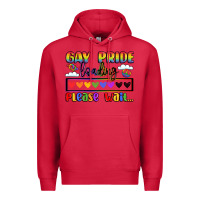 Cardinal gay pride loading please wait Premium Hoodie - LillyAllenDesigns