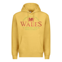 Antique Gold Rugby Welsh Gift Red Dragon Flag of Wales Premium Hoodie - trangStudio