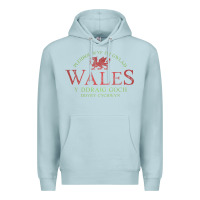 Blue Mist Rugby Welsh Gift Red Dragon Flag of Wales Premium Hoodie - trangStudio