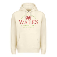 Sandshell Rugby Welsh Gift Red Dragon Flag of Wales Premium Hoodie - trangStudio