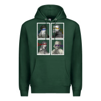 Sports Green Ninja Artists Leonardo Donatello Raphael Michelangelo Parody Renaissan Premium Hoodie - trangStudio
