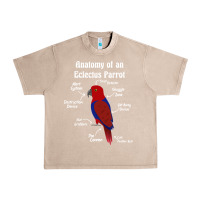 French Oak Anatomy of a female Eclectus Parrot Urban Heavy Tee - trangStudio
