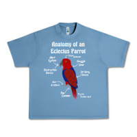 Pebble Blue Anatomy of a female Eclectus Parrot Urban Heavy Tee - trangStudio